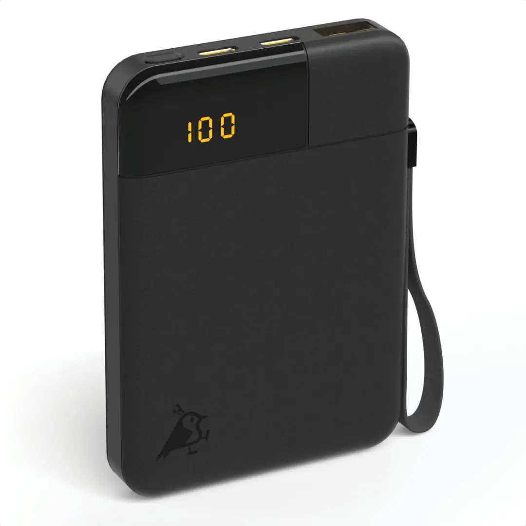 Aqiila Powerbird B5B Powerbank 5000mAh - 12W - 3x USB - Zwart