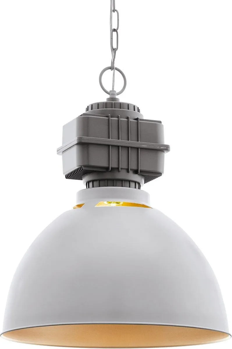 Eglo 49868 Hangende Plafondverlichting - Grijs Roze Goud