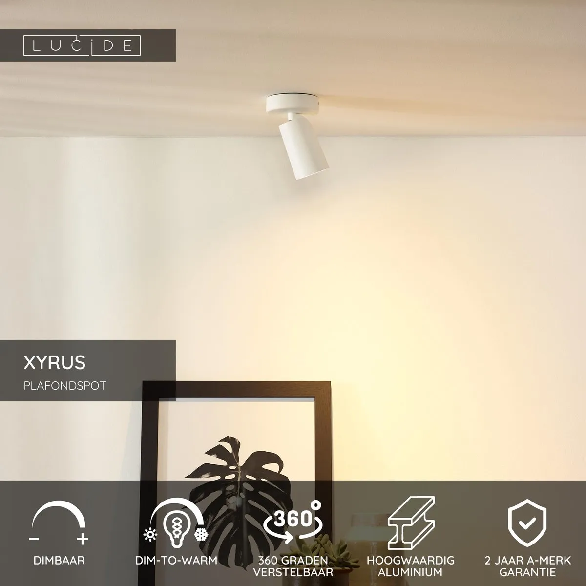Lucide Xyrus Plafondspot Ø9cm - LED Dim to Warm - GU10 - Wit