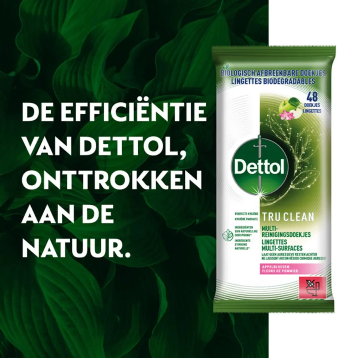 Dettol Tru Clean Appelbloesem Doekjes - 48 Stuks