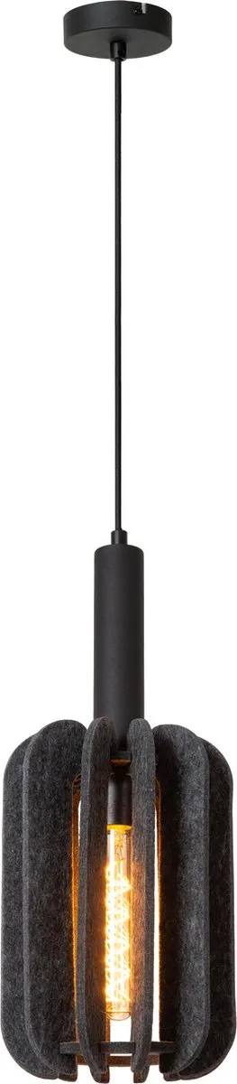 Lucide Rafal Hanglamp Ø20cm