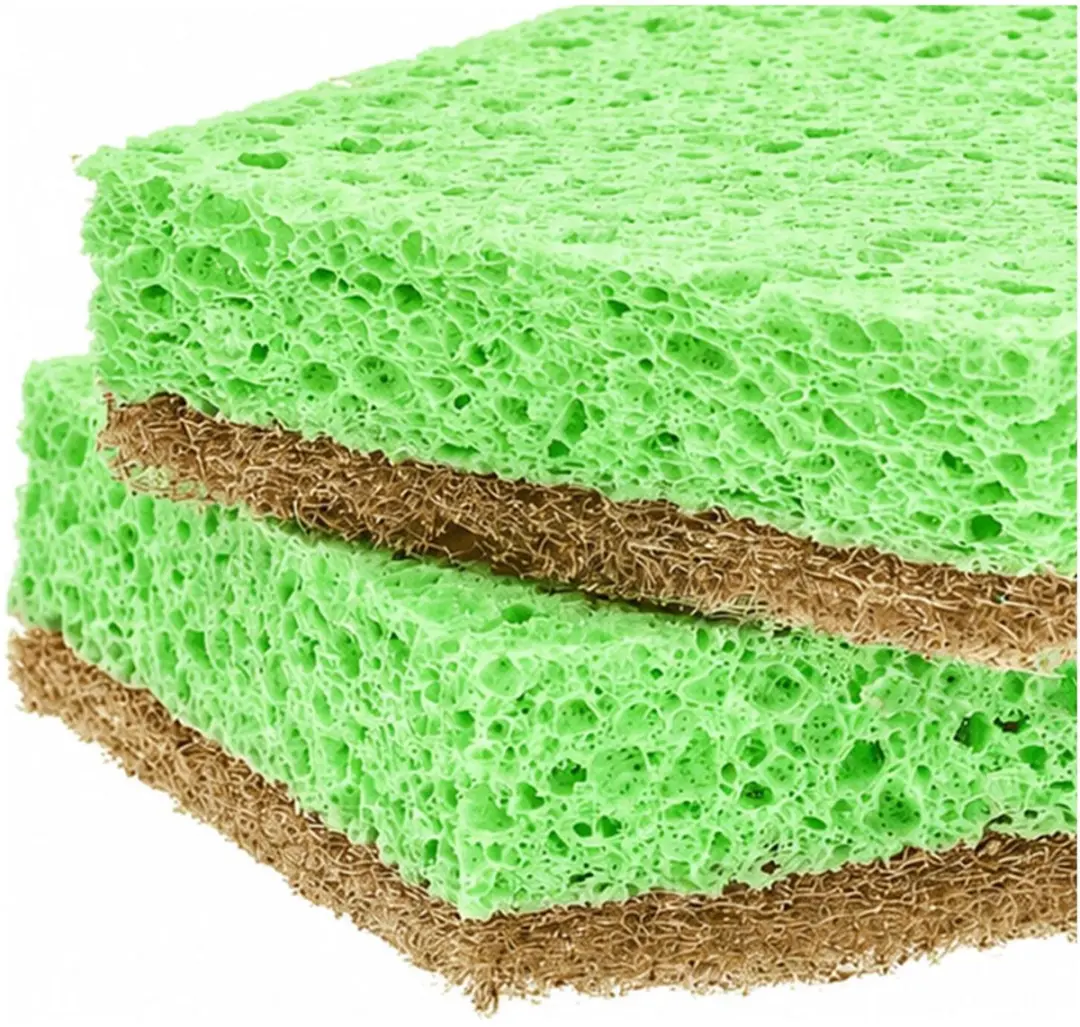 Sorbo ECO Schuursponzen - 2 Stuks - 10x7x2cm - Bruin/Mintgroen