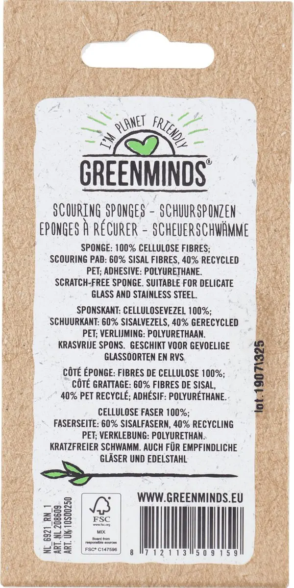 Sorbo ECO Schuursponzen - 2 Stuks - 10x7x2cm - Bruin/Mintgroen