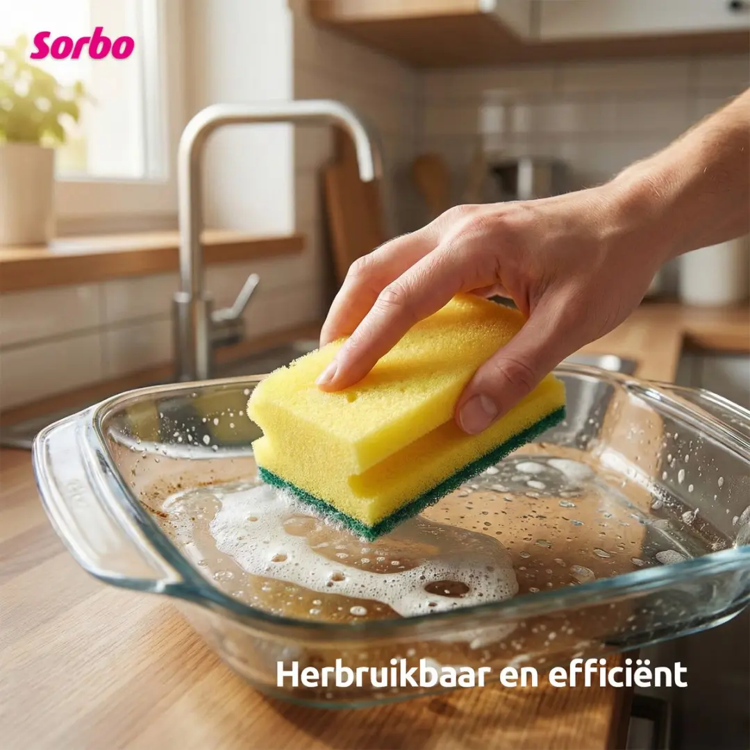 Sorbo Schuurspons met Handgreep 700374 - 10 Stuks