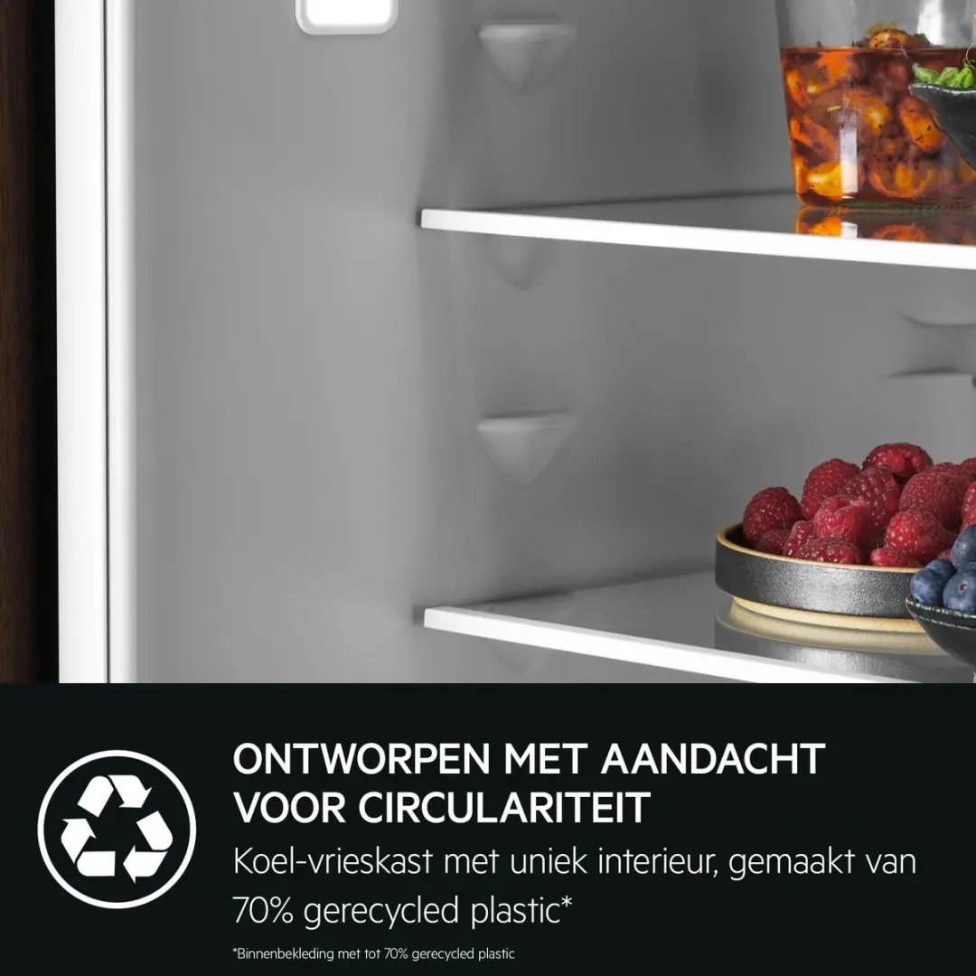 AEG Series 7000 TC7MS181CF Koelkast - 245L Wit