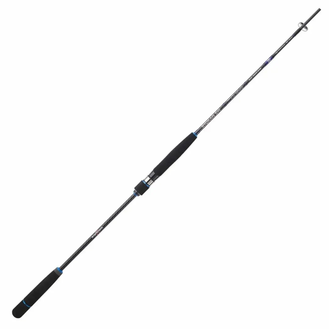 Sakura Ryokan Sw Jigging Hengel 1.93m - 90-200g - Zilver