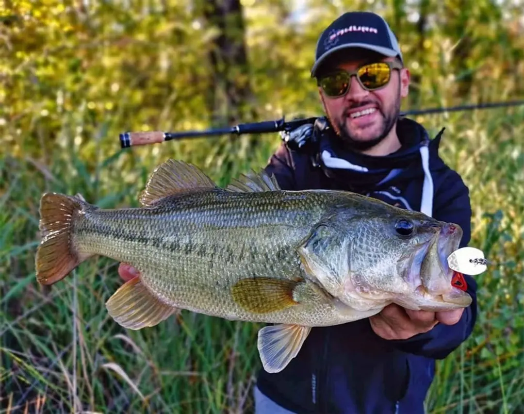 Sakura Chatterbait Cajun Bladed Jig 14g