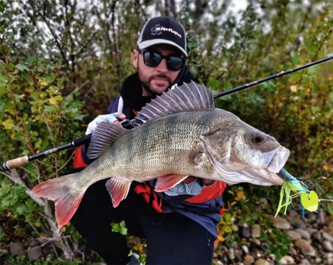 Sakura Chatterbait Cajun Bladed Jig 14g