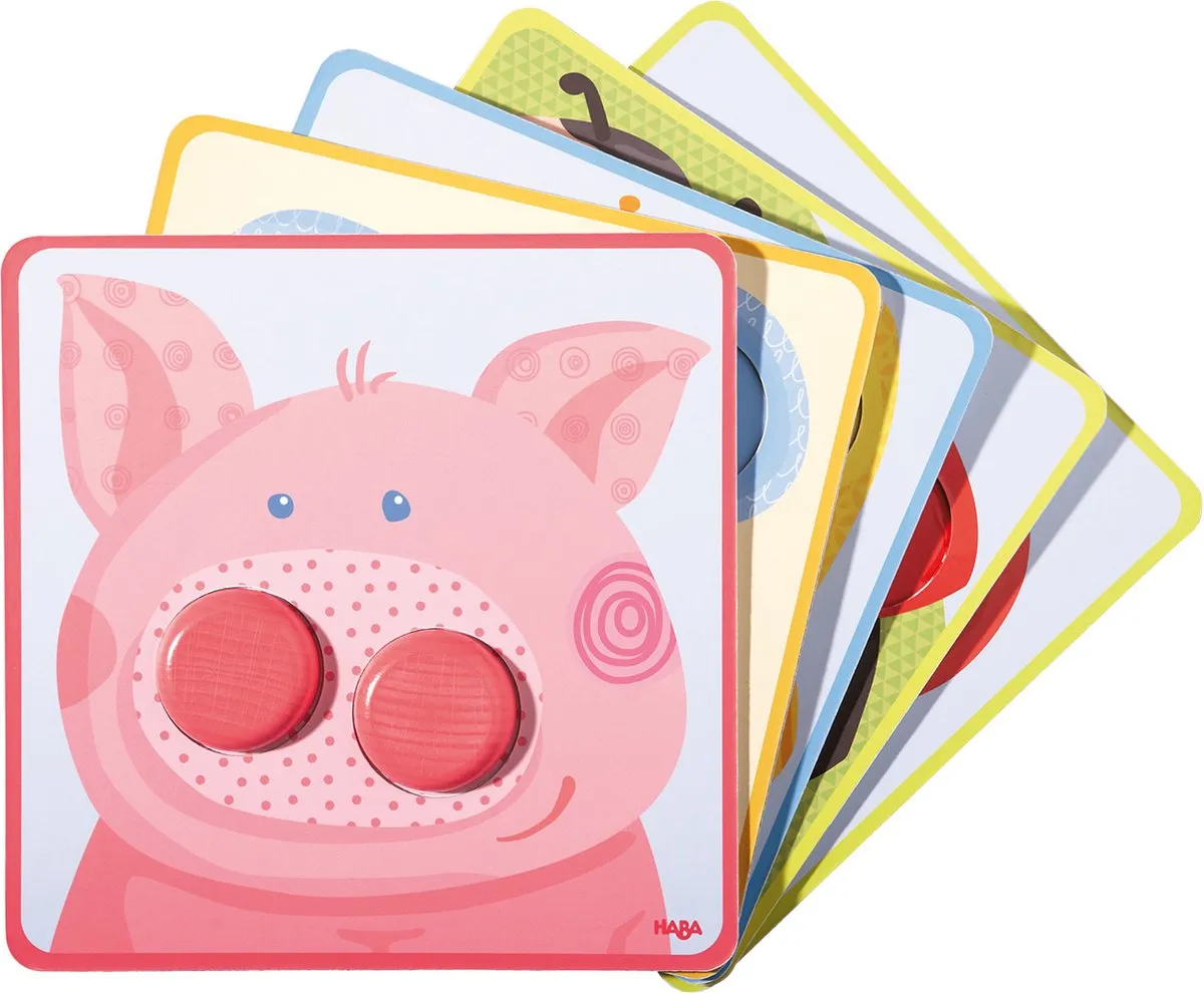 Haba Lernspielzeug Zuordnungsspiel 306488