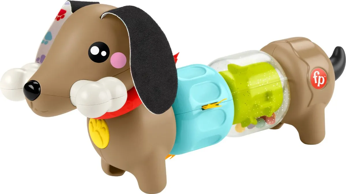 Fisher-Price Pets Klikken en Draaien Puppy HTW91 - Multicolor