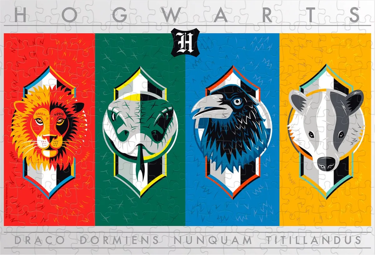 Winning Moves Harry Potter Puzzel 500 Stuks - Meerkleurig