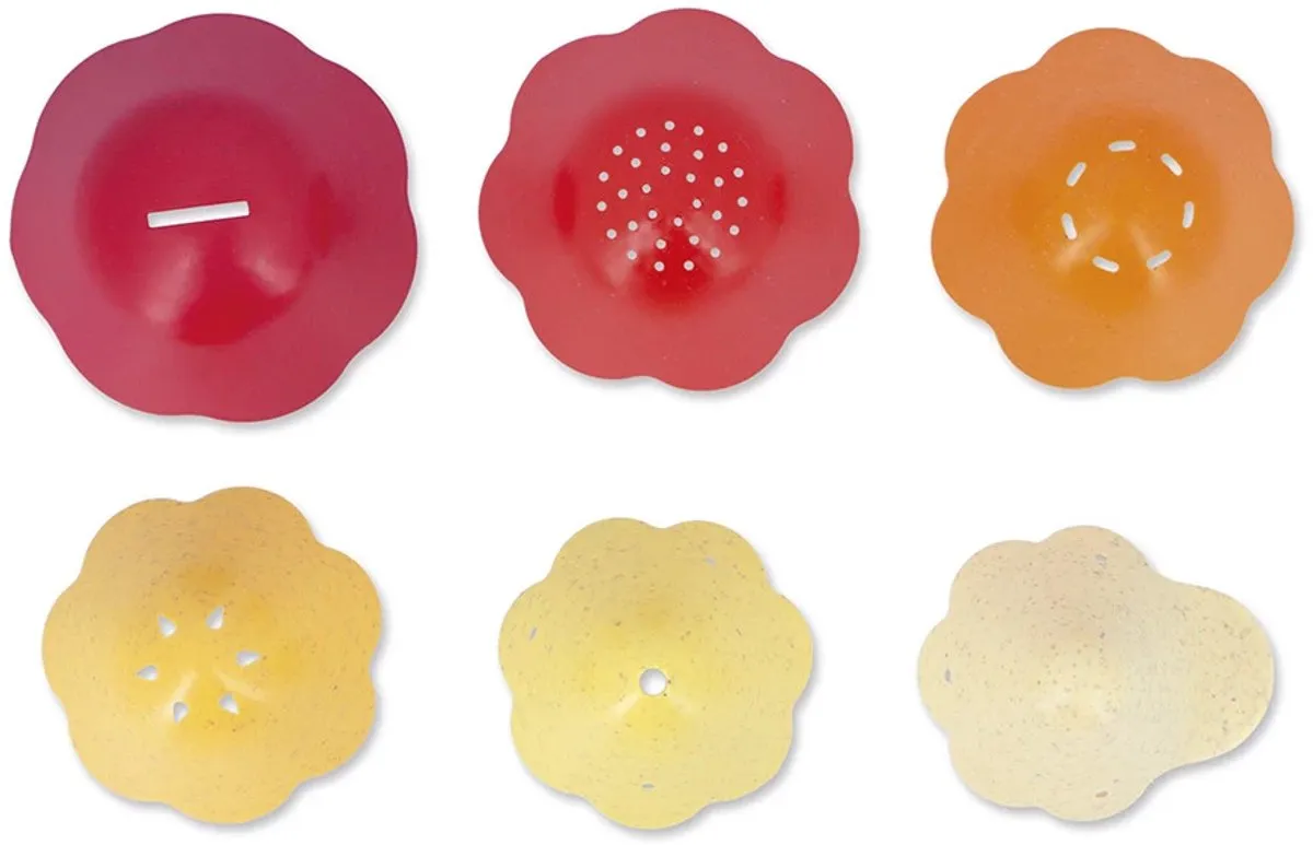Janod Bernard En Zijn Schelp Badspeelgoed 6-delig - Multicolor