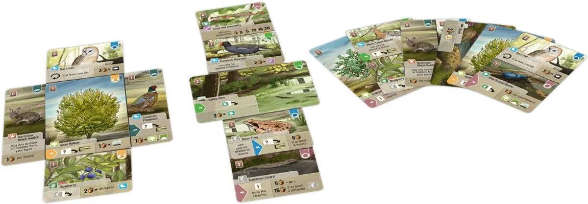 Asmodee Forest Shuffle Dartmoor Kaartspel