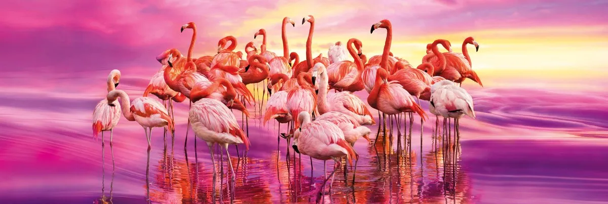 Clementoni Flamingo Panorama Puzzel 1000 Stuks - Multi Kleur