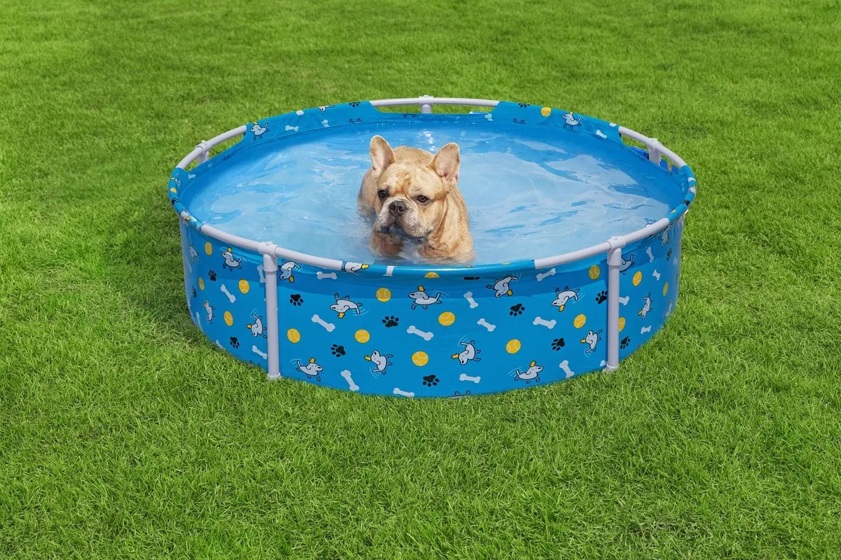 Bestway Fetchin' Fun 1980814 Zwembad - 150cm - Multicolor