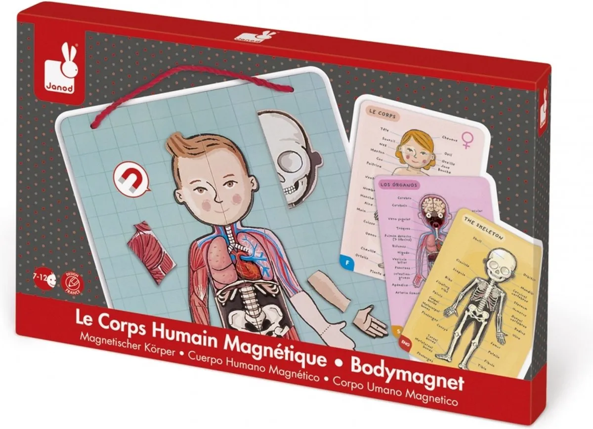 Janod Het Menselijk Lichaam Magnetisch Spel 76 Magneten - Blauw