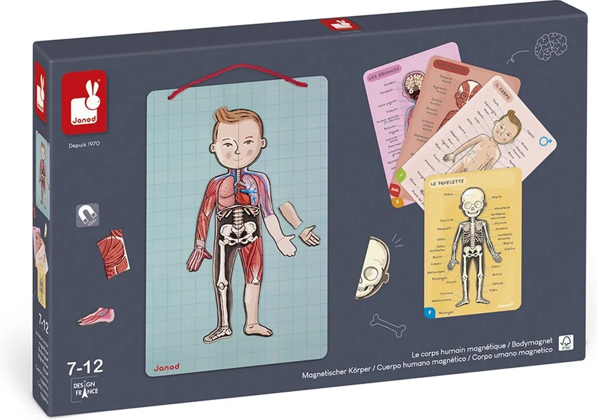 Janod Het Menselijk Lichaam Magnetisch Spel 76 Magneten - Blauw - afbeelding 6 van 6