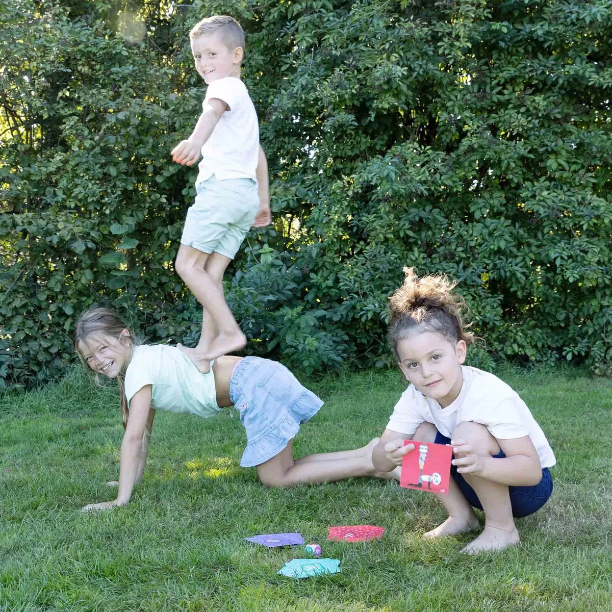 SES Creative Acrobaat Dieren - Speelkaarten met Houten Dobbelsteen