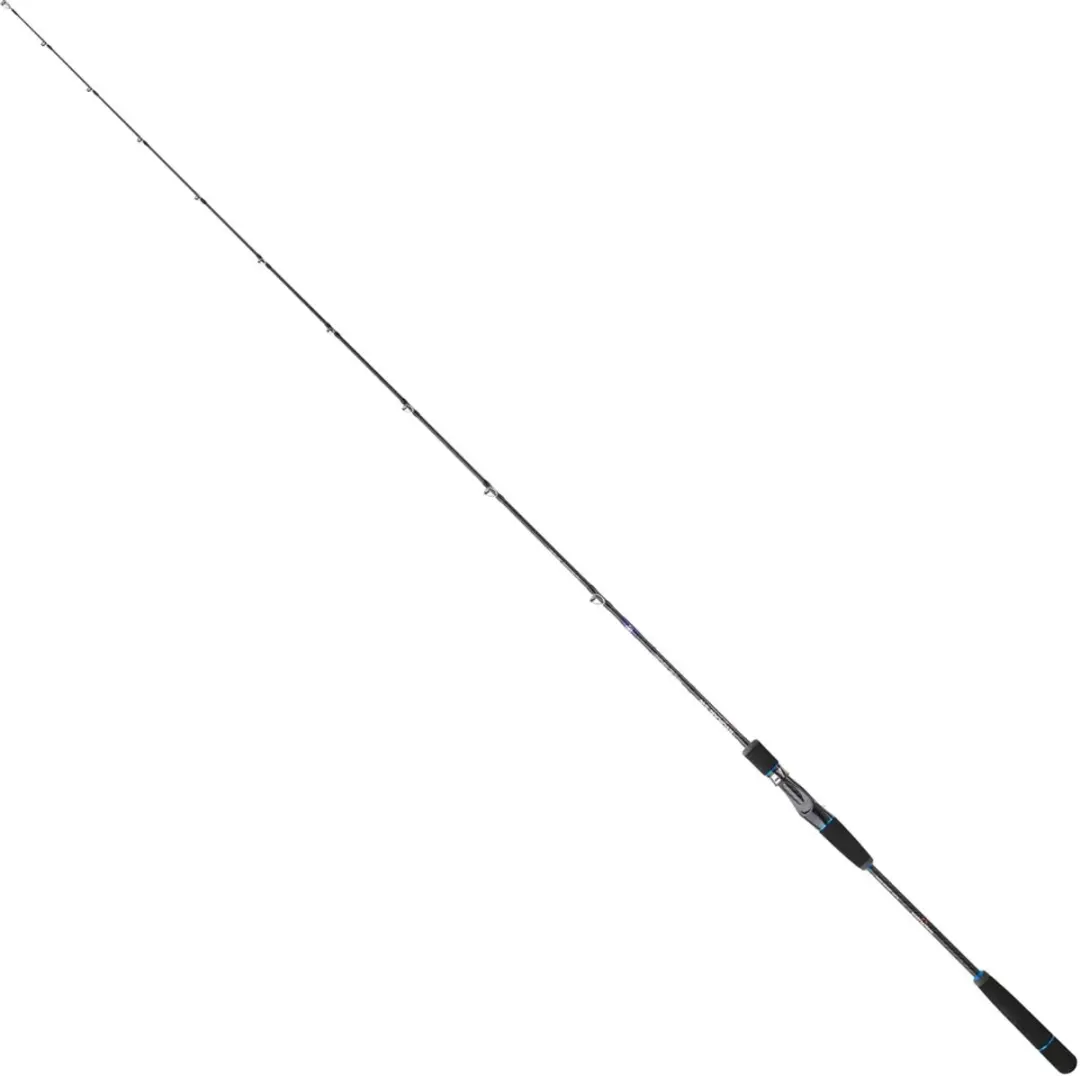 Sakura Ryokan Sw Casting Jigging Hengel 190cm - 50-150g - Zilver