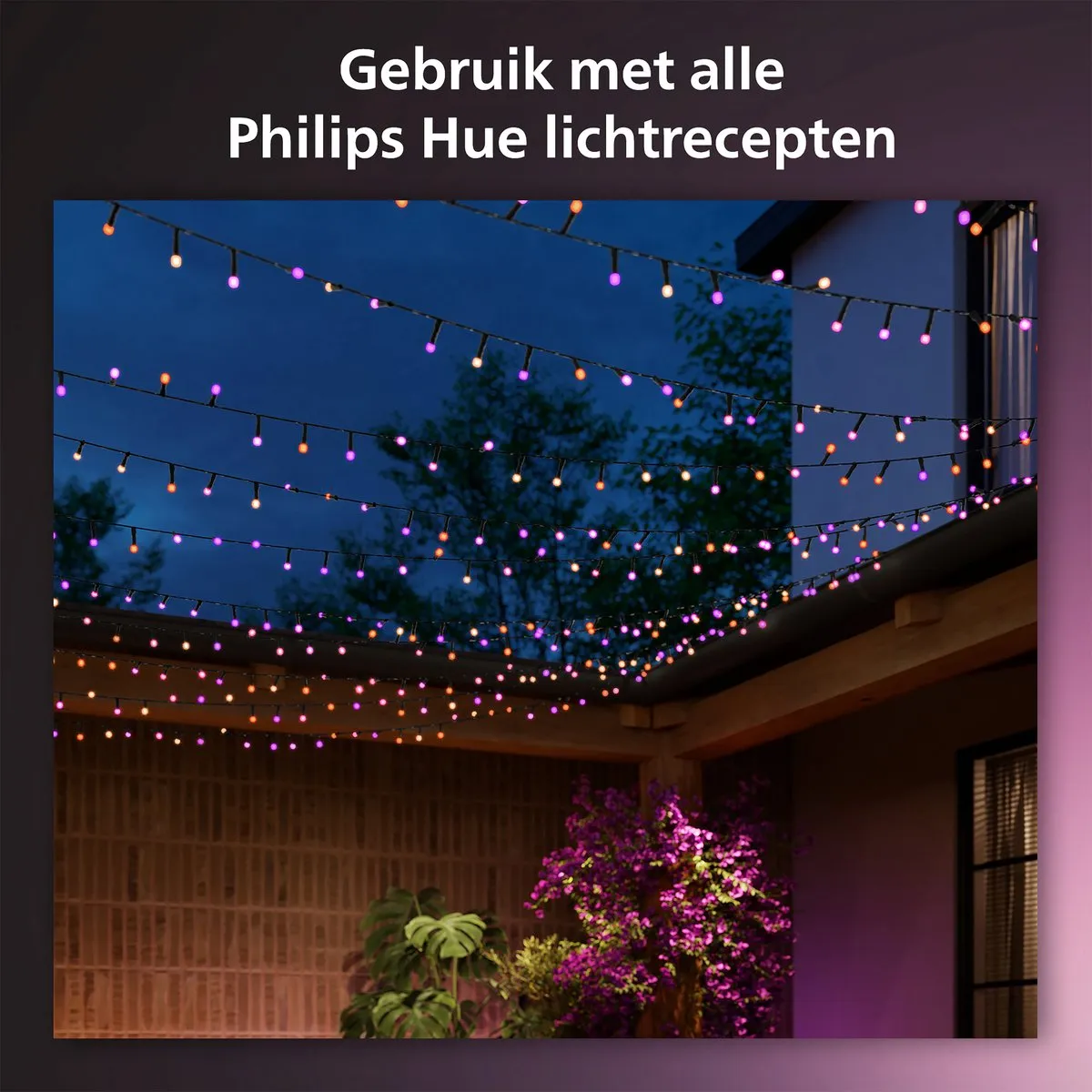 Philips Hue Festavia Lichtsnoer 20m - 250 LED Multicolor