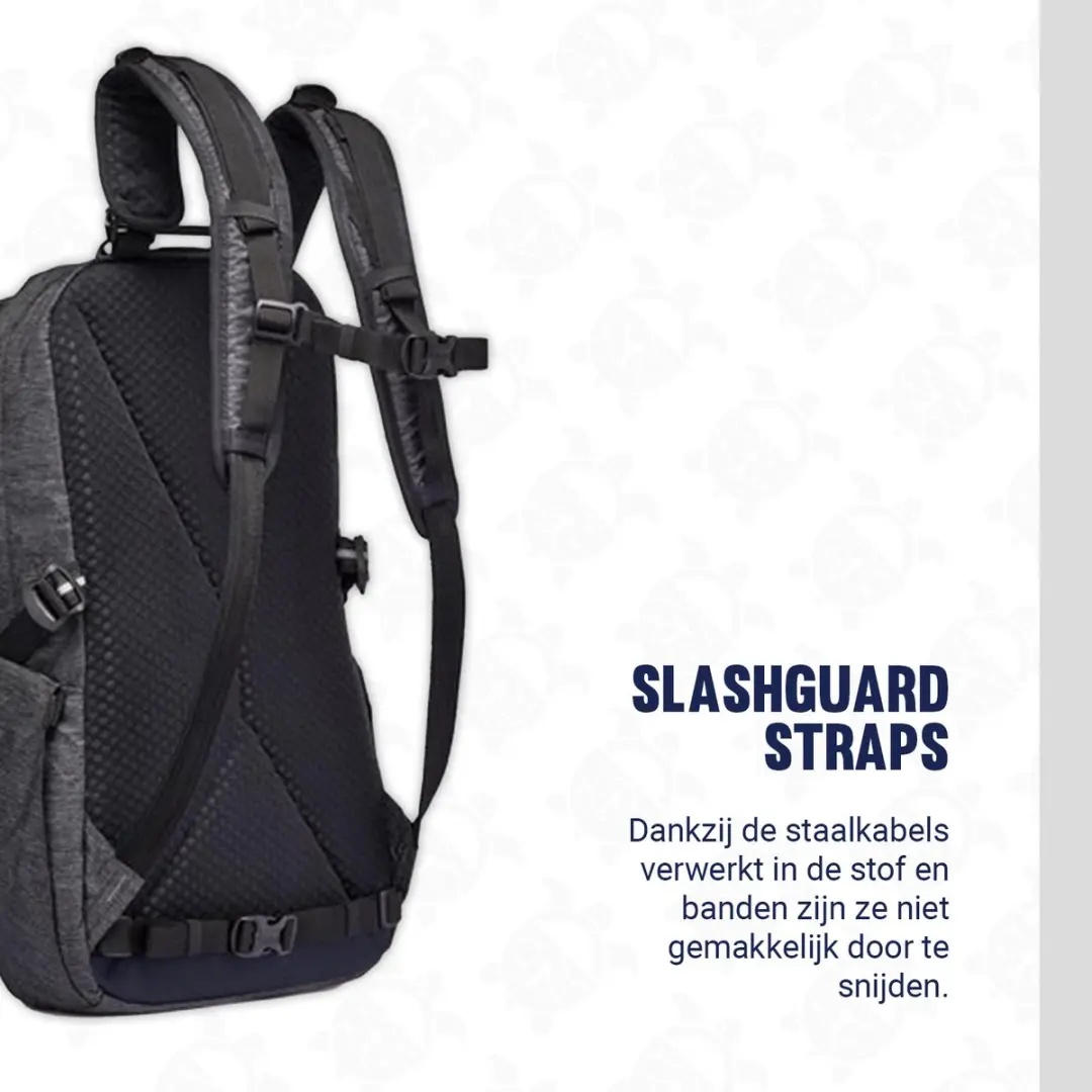 Pacsafe Vibe 25 Rugtas 25L - RFID-blokkerend - Grijs