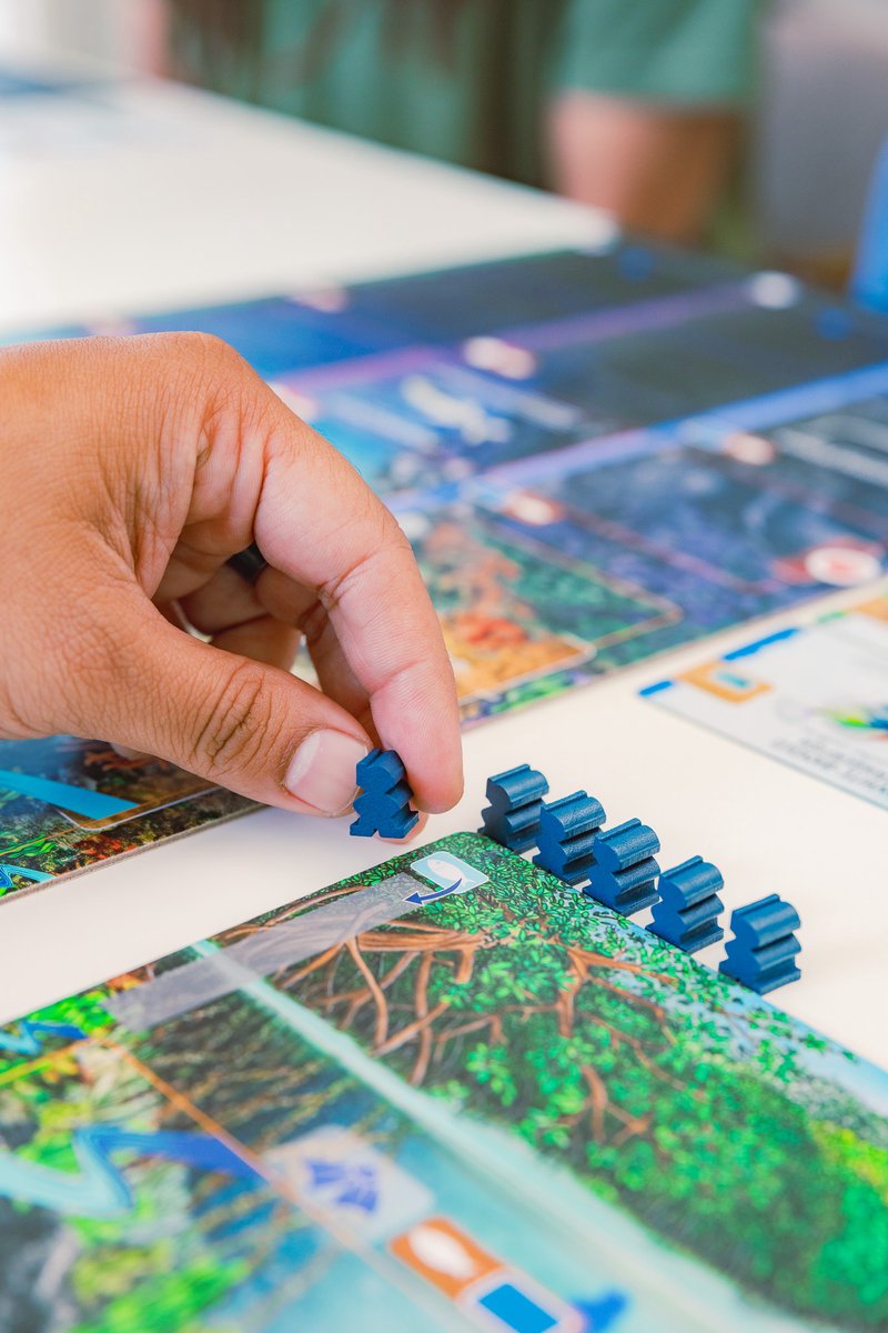 999 Games - Finspan - Bordspel - Prachtig vormgegeven - Ook voor 1 speler - Gezelschapsspel