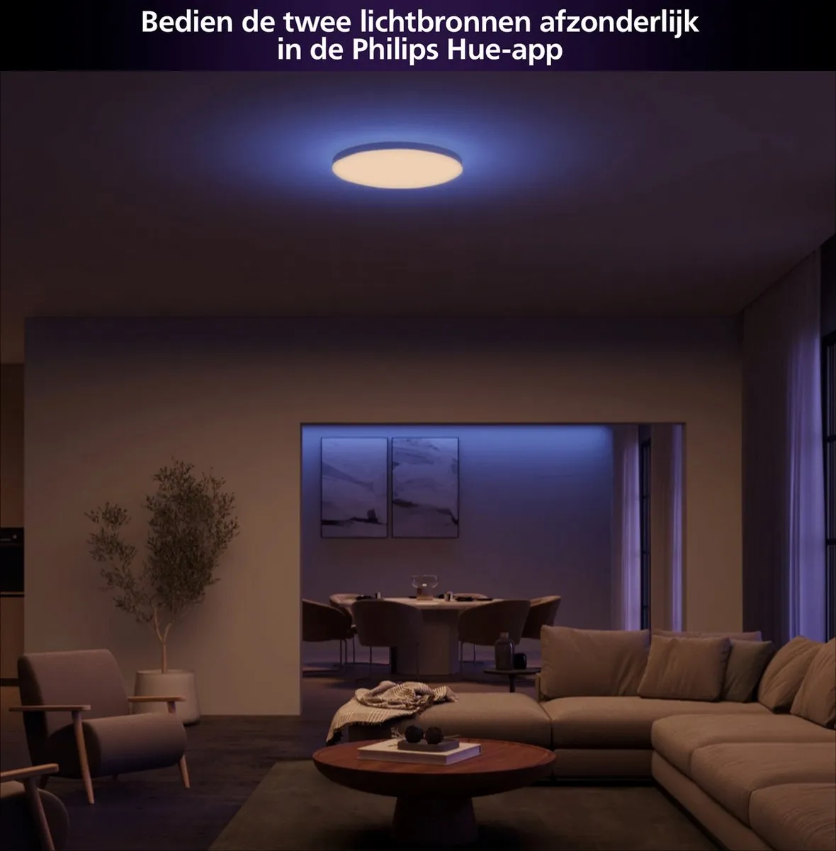 Philips Hue Datura Paneellamp - 57cm - RGB/Wit