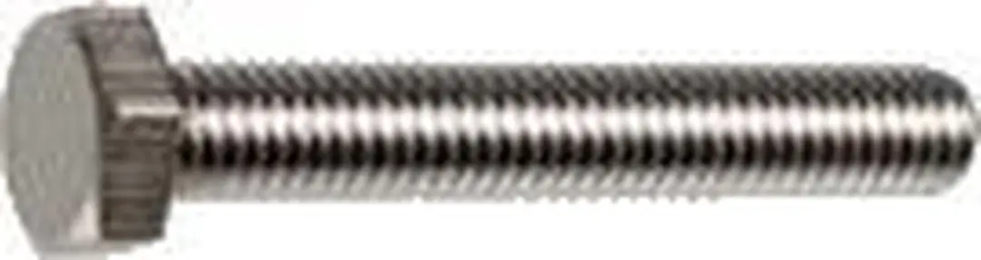 Hoenderdaal Tapbout RVS A2 M6x10mm