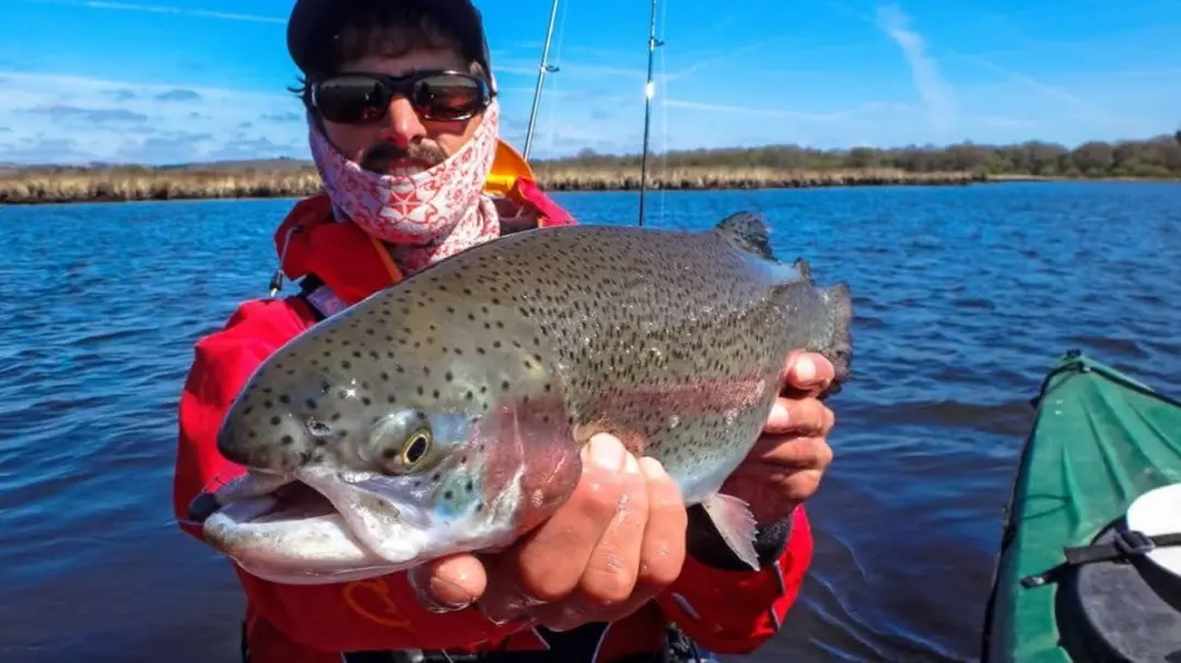 Sakura Trout Single Assist Haak 1 - 6 Stuks - Zwart Nikkel