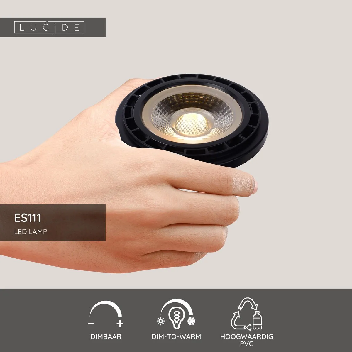 Lucide ES111 LED Lamp Ø11cm - Rookglas - 12W 2200K/3000K