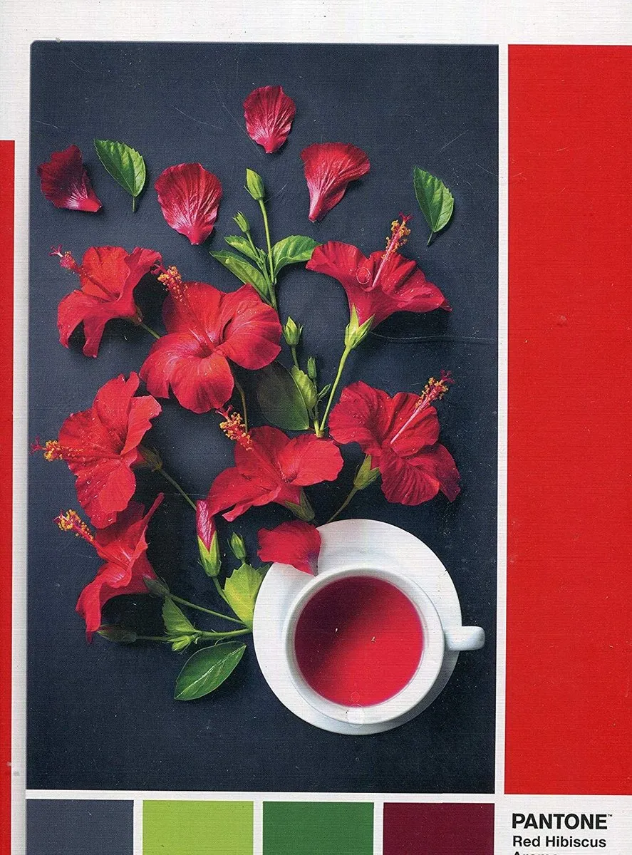 Clementoni Pantone Puzzle Collectie Red Hibiscus 1000 Stuks - afbeelding 4 van 6