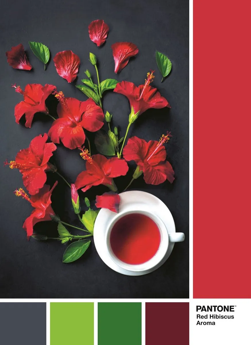Clementoni Pantone Puzzle Collectie Red Hibiscus 1000 Stuks - afbeelding 2 van 6