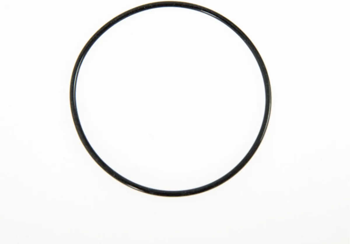 Bestway O-ring voor Summer Wave Intex Filterpomp
