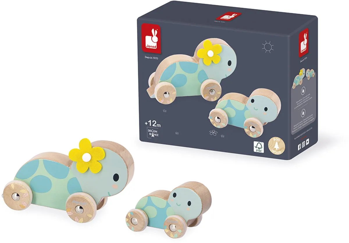 Janod Pure 11.5148 Duw Schildpadden Set - Multicolor