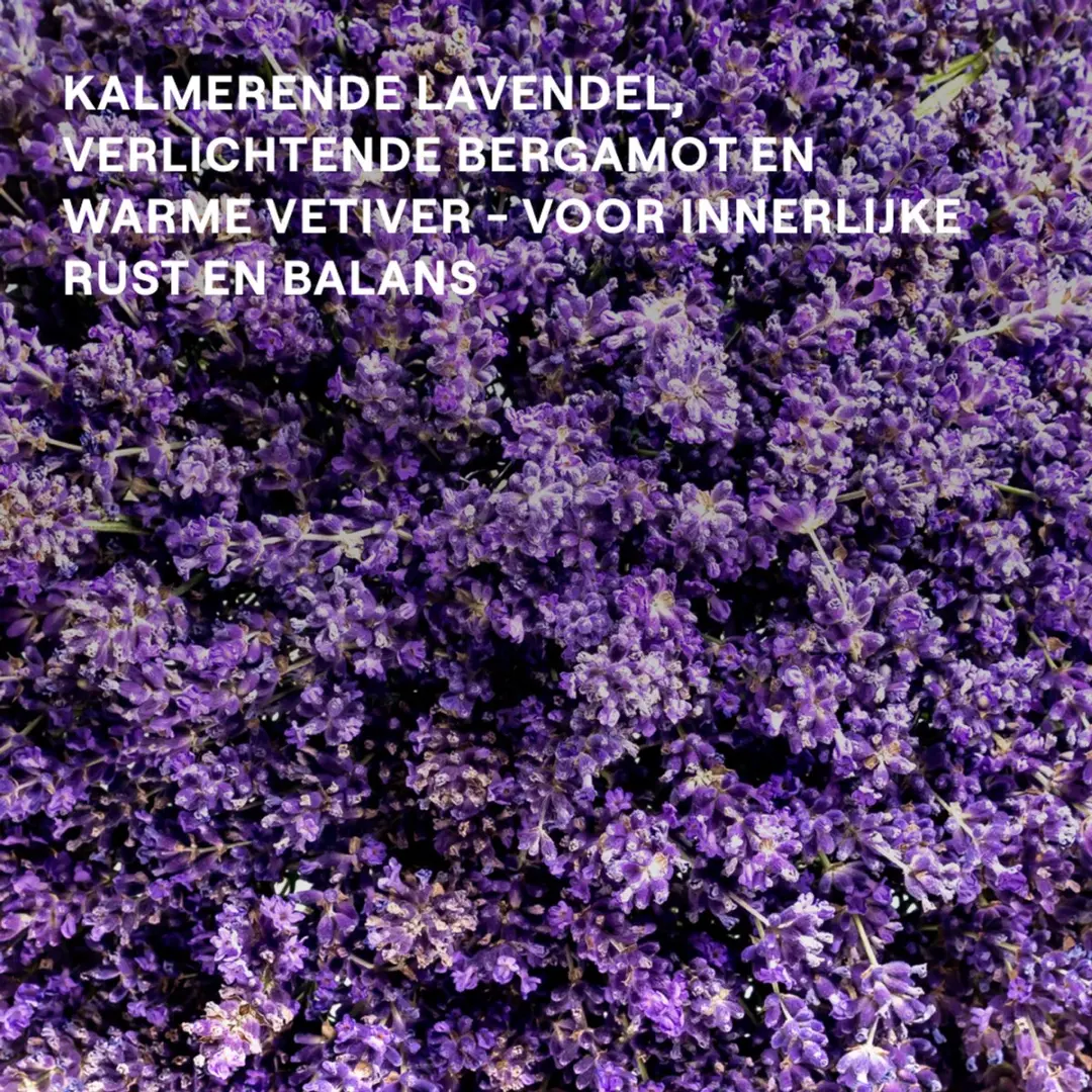 Weleda Relax Douchecrème 600ml - 3x200ml - Lavendel/Bergamot/Vetiver