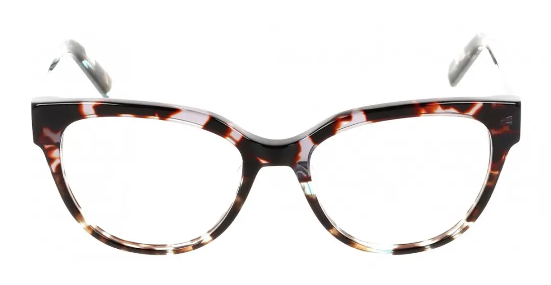 DKNY DK5074 Brilmontuur - Grijs/Sage Tortoise