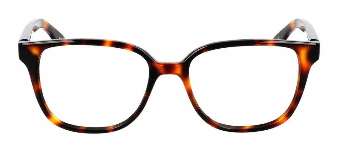 Nike Brilmontuur 7172 Dark Tortoise
