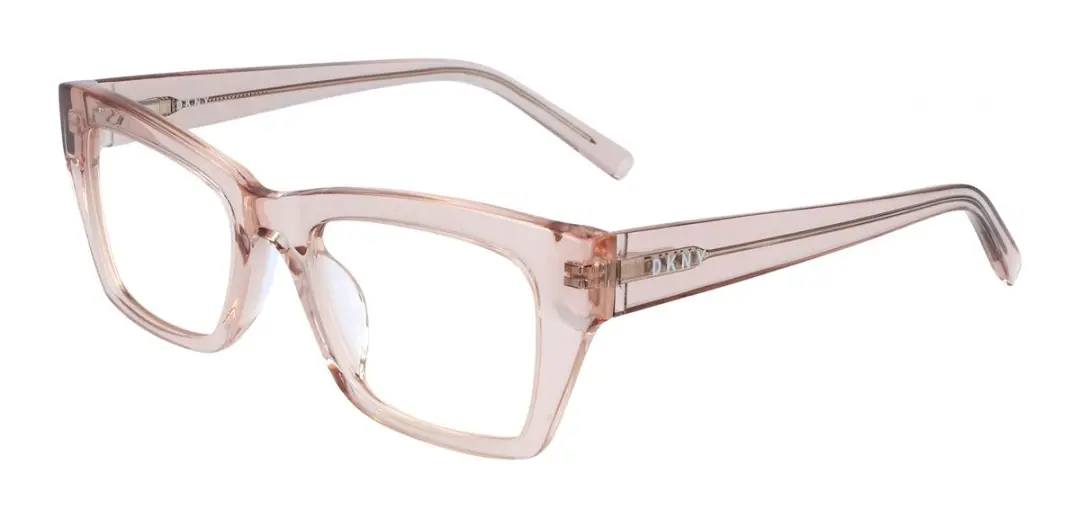 DKNY DK5021 Brilmontuur