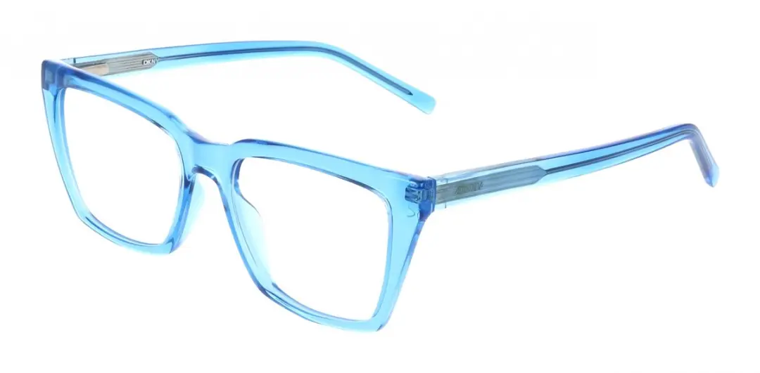 DKNY DK5085 Brilmontuur