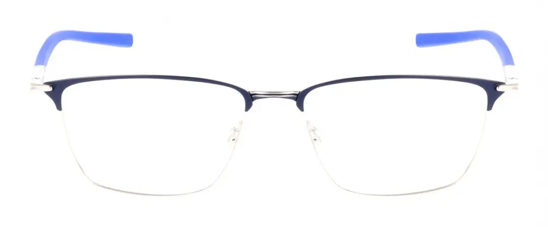 Nike Brilmontuur 6066 - Matte Obsidian/Silver