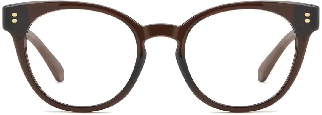 Polaroid PLD D592 Brilmontuur - Brown