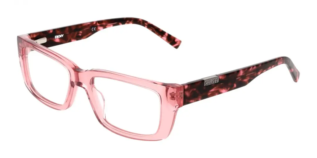 DKNY DK5079 Brilmontuur
