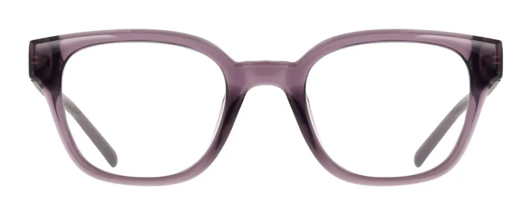 DKNY DK5081 Brilmontuur - Crystal Plum