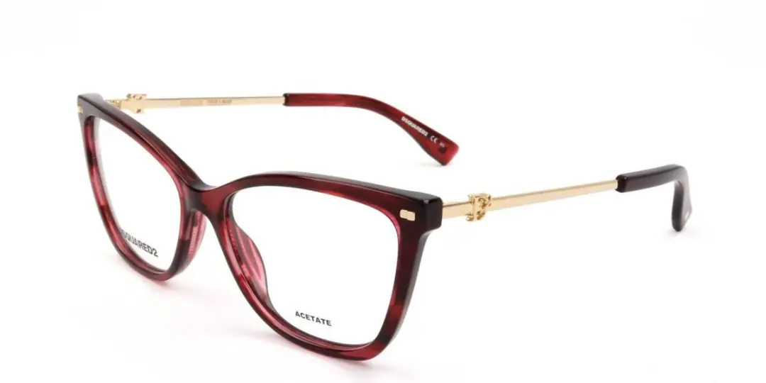 Dsquared2 D2 0068 Brilmontuur