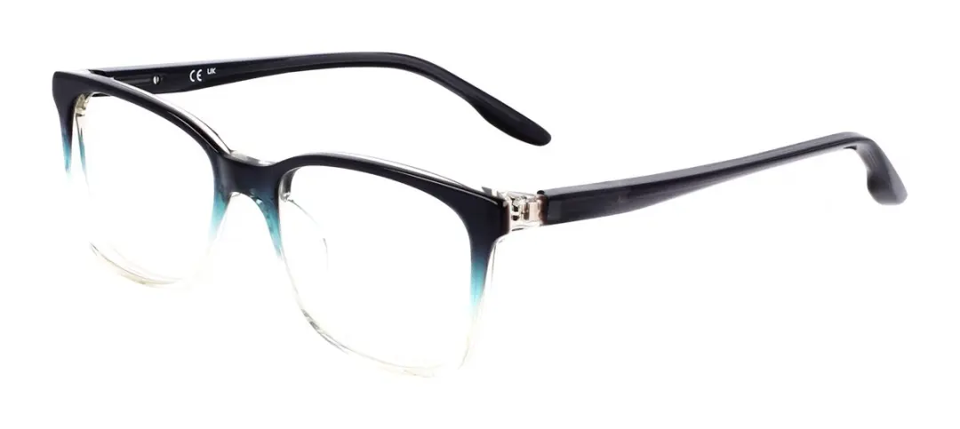 Nike 5054 Brilmontuur