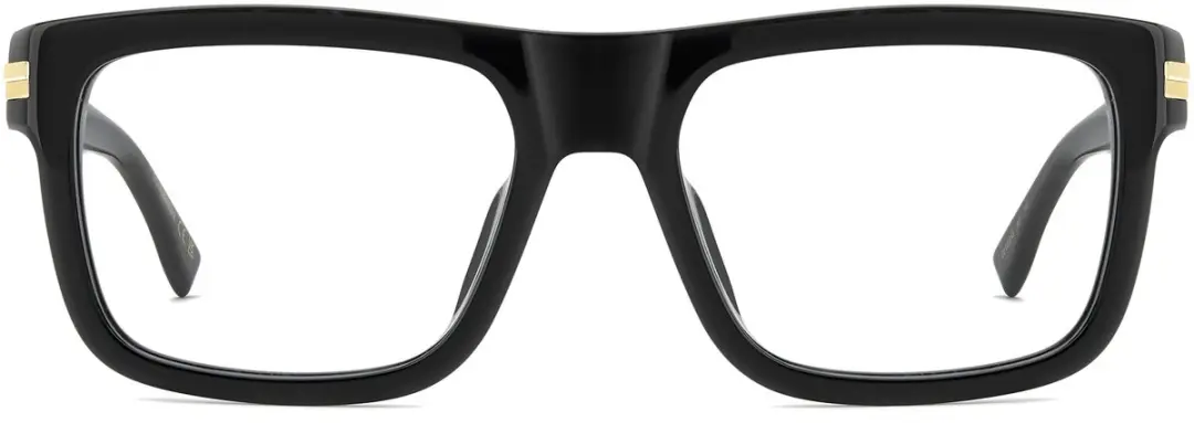 Bril Dsquared2 D2 0200/G 807