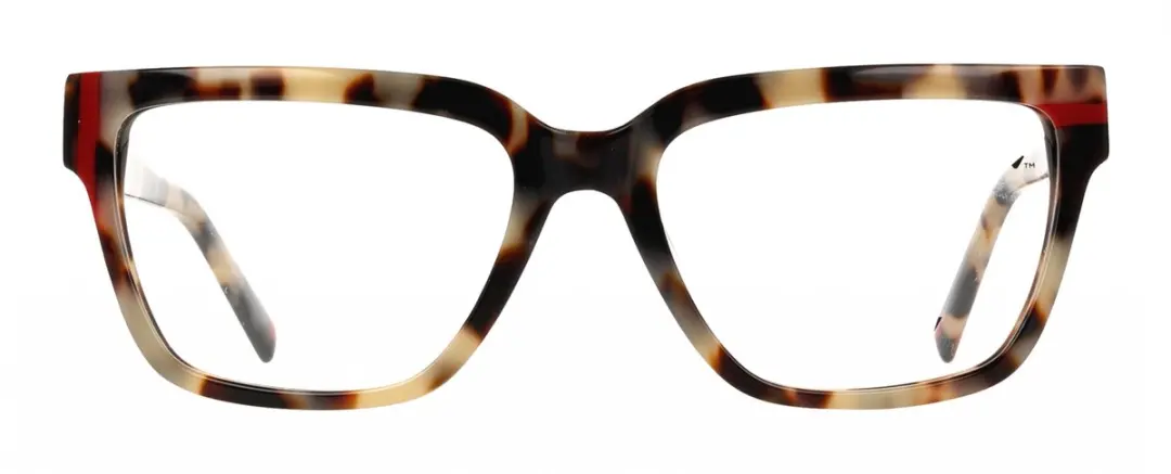 DKNY DK5087 Brilmontuur - Bone Tortoise