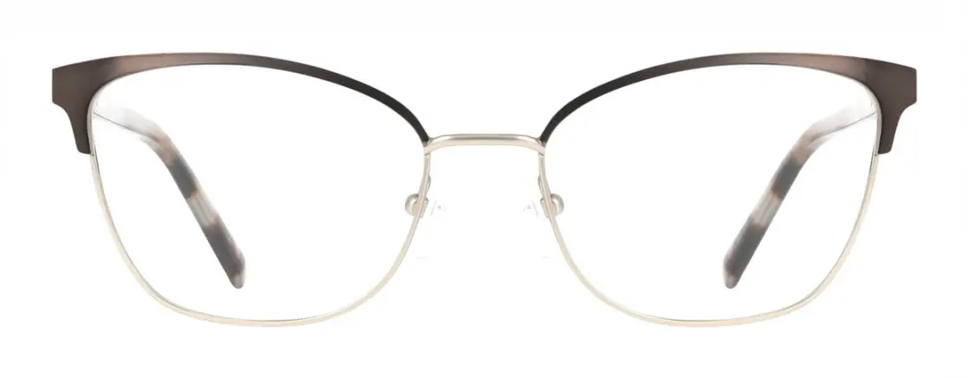 DKNY DK1041 Brilmontuur - Gunmetal
