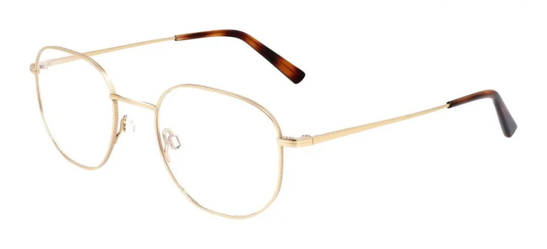 Flexson FLEXON H6076 N Gold Brilmontuur