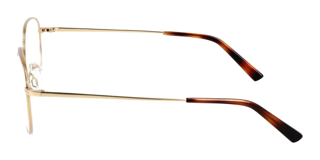 Flexson FLEXON H6076 N Gold Brilmontuur
